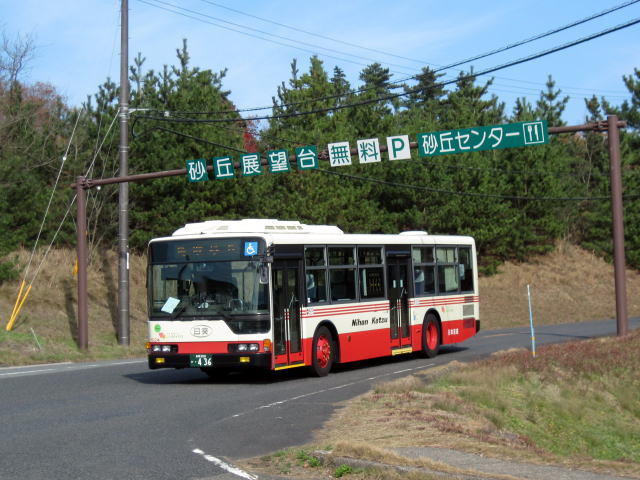 鳥取 砂丘 バス